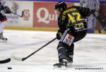 Photo hockey reportage Les Ducs survolent la rencontre 