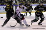 Photo hockey reportage Les Ducs survolent la rencontre 