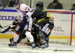 Photo hockey reportage Les Ducs survolent la rencontre 