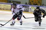 Photo hockey reportage Les Ducs survolent la rencontre 