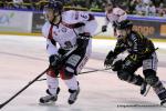 Photo hockey reportage Les Ducs survolent la rencontre 