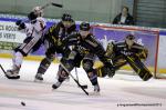 Photo hockey reportage Les Ducs survolent la rencontre 