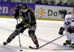 Photo hockey reportage Les Ducs survolent la rencontre 