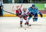 Photo hockey reportage Les Ours tombent avec les honneurs