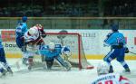 Photo hockey reportage Les Ours tombent avec les honneurs