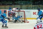 Photo hockey reportage Les Ours tombent avec les honneurs