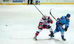 Photo hockey reportage Les Ours tombent avec les honneurs