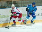 Photo hockey reportage Les Ours tombent avec les honneurs