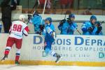 Photo hockey reportage Les Ours tombent avec les honneurs