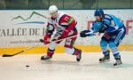 Photo hockey reportage Les Ours tombent avec les honneurs