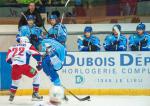 Photo hockey reportage Les Ours tombent avec les honneurs