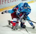 Photo hockey reportage Les Ours tombent avec les honneurs