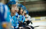 Photo hockey reportage Les Ours tombent avec les honneurs