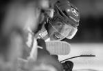 Photo hockey reportage Les Ours tombent avec les honneurs