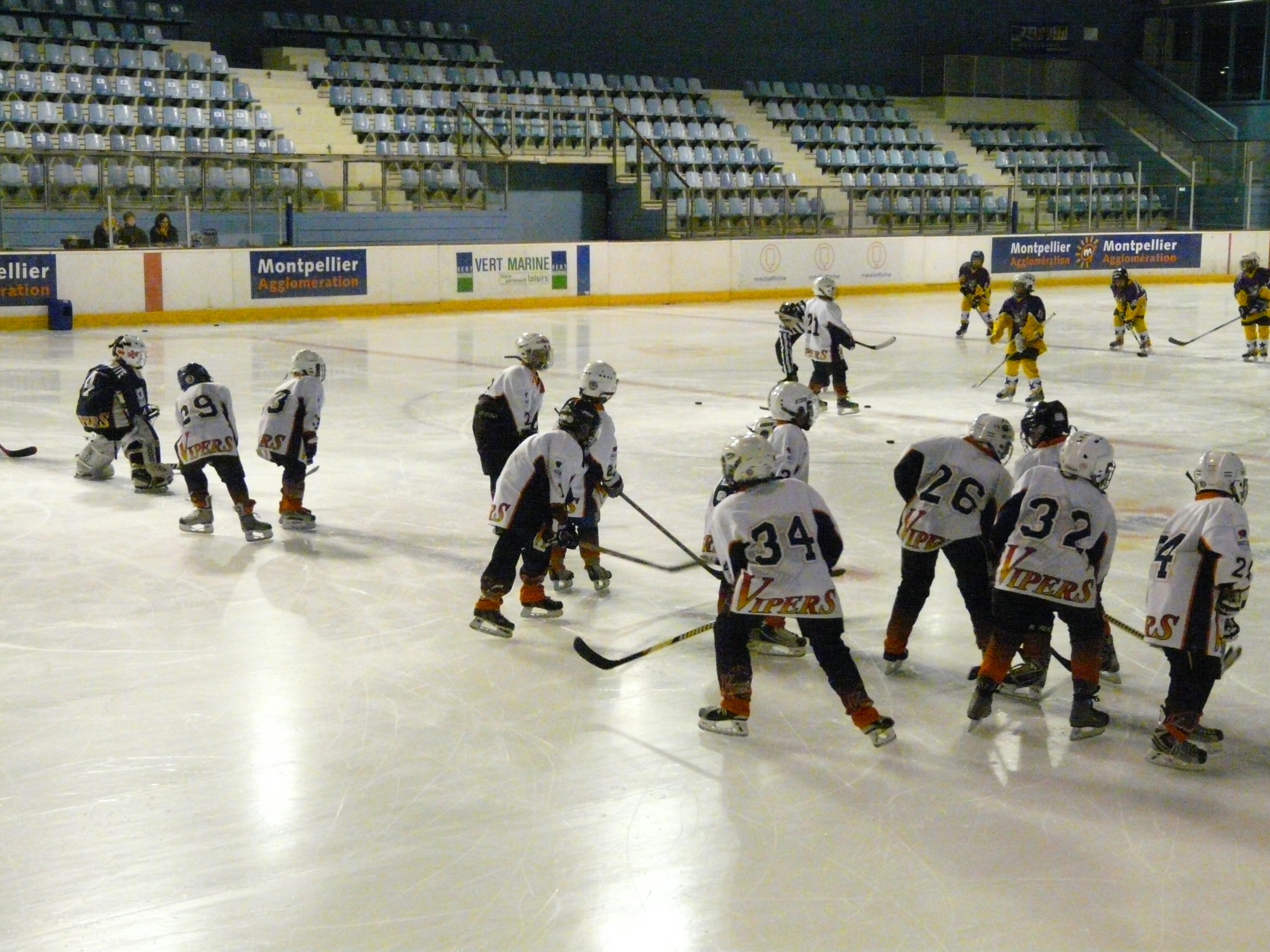 Photo hockey reportage Les rsultats du week-end Vipers 