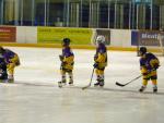 Photo hockey reportage Les rsultats du week-end Vipers 