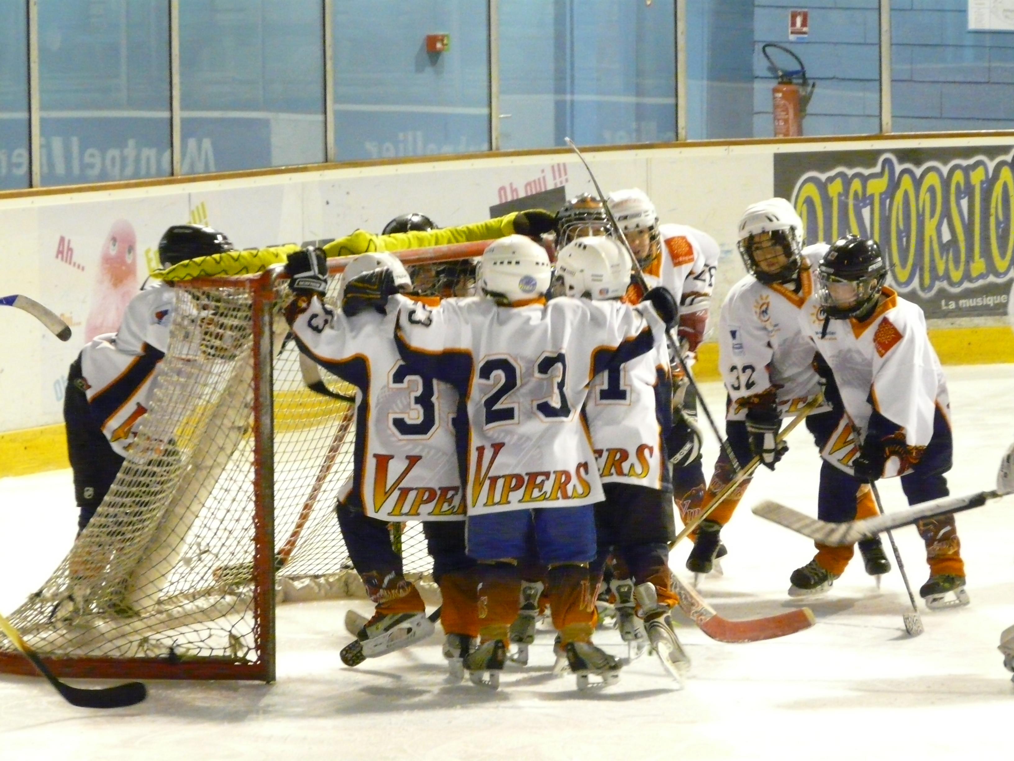 Photo hockey reportage Les rsultats du week-end Vipers 