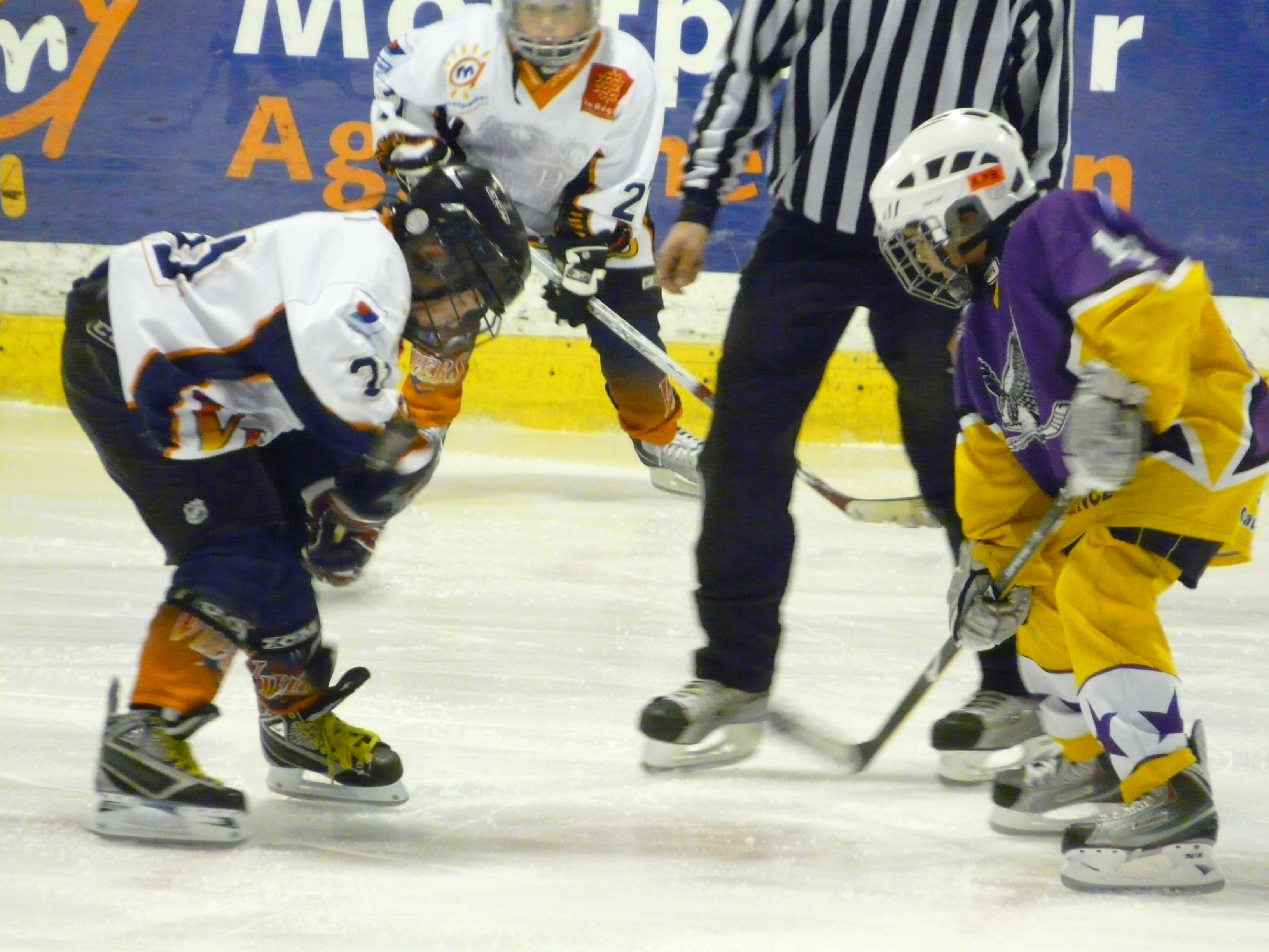 Photo hockey reportage Les rsultats du week-end Vipers 