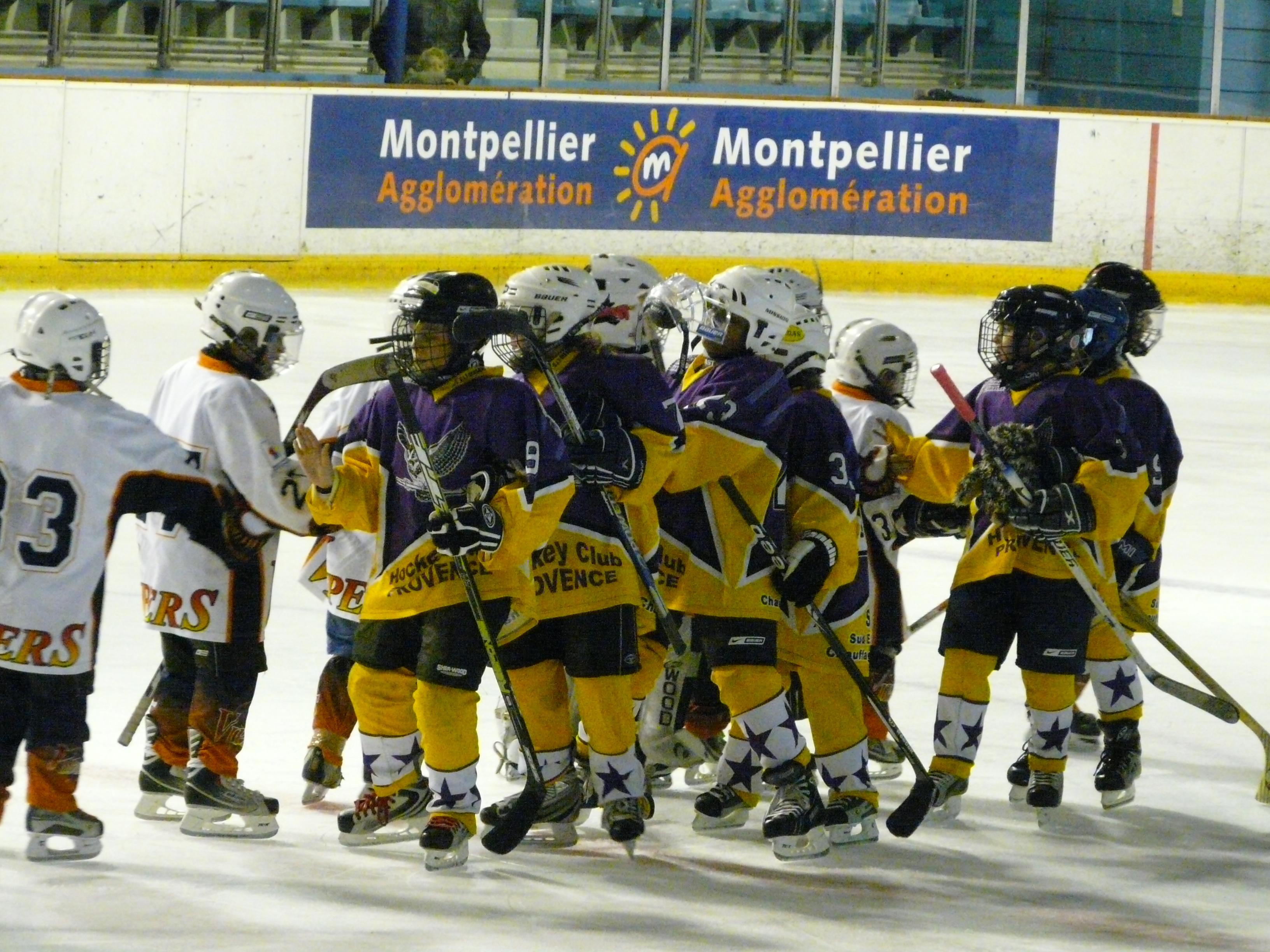 Photo hockey reportage Les rsultats du week-end Vipers 