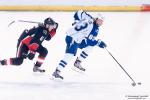 Photo hockey reportage Les Senators imposent leur loi