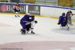 Photo hockey reportage Mondial Fminin - La France un peu courte.