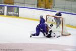 Photo hockey reportage Mondial Fminin - La France un peu courte.