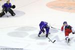 Photo hockey reportage Mondial fminin : Les Tchques matrisent