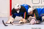 Photo hockey reportage Mondial Roller : Retour Vido sur le sacre des Bleuets