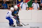 Photo hockey reportage Mondial Roller : Retour Vido sur le sacre des Bleuets