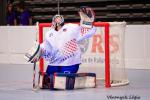 Photo hockey reportage Mondial Roller : Retour Vido sur le sacre des Bleuets