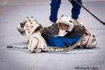 Photo hockey reportage Mondial Roller : Retour Vido sur le sacre des Bleuets