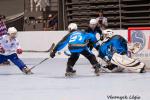 Photo hockey reportage Mondial Roller : Retour Vido sur le sacre des Bleuets