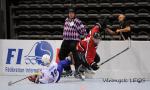 Photo hockey reportage Mondial Roller : Retour Vido sur le sacre des Bleuets