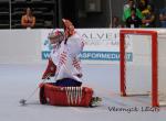 Photo hockey reportage Mondial Roller : Retour Vido sur le sacre des Bleuets