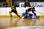 Photo hockey reportage N1 : Les Griffons sur le podium