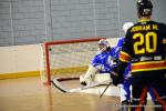 Photo hockey reportage N1 : Les Griffons sur le podium