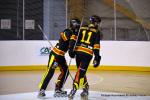 Photo hockey reportage N1 : Les Griffons sur le podium