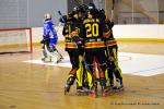 Photo hockey reportage N1 : Les Griffons sur le podium