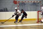 Photo hockey reportage N2 : Les chevaliers rgnent