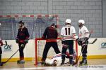 Photo hockey reportage N2 : Les chevaliers rgnent