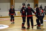 Photo hockey reportage N2 : Les chevaliers rgnent