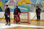 Photo hockey reportage N2 : Les chevaliers rgnent