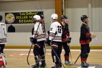 Photo hockey reportage N2 : Les chevaliers rgnent