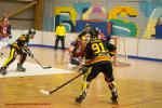 Photo hockey reportage N2 : Les Griffons battus mais pas abattus