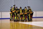 Photo hockey reportage N2 : Les Griffons larges vainqueurs