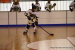 Photo hockey reportage N2 : Les Griffons larges vainqueurs