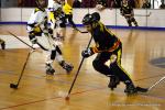 Photo hockey reportage N2 : Les Griffons larges vainqueurs