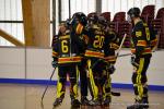 Photo hockey reportage N2 : Les Griffons larges vainqueurs