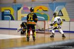 Photo hockey reportage N2 : Les Griffons larges vainqueurs