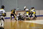 Photo hockey reportage N2 : Les Griffons larges vainqueurs